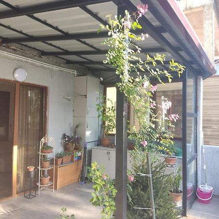 Apartment Agmashenebeli 99 Kobuleti Zewnętrze zdjęcie