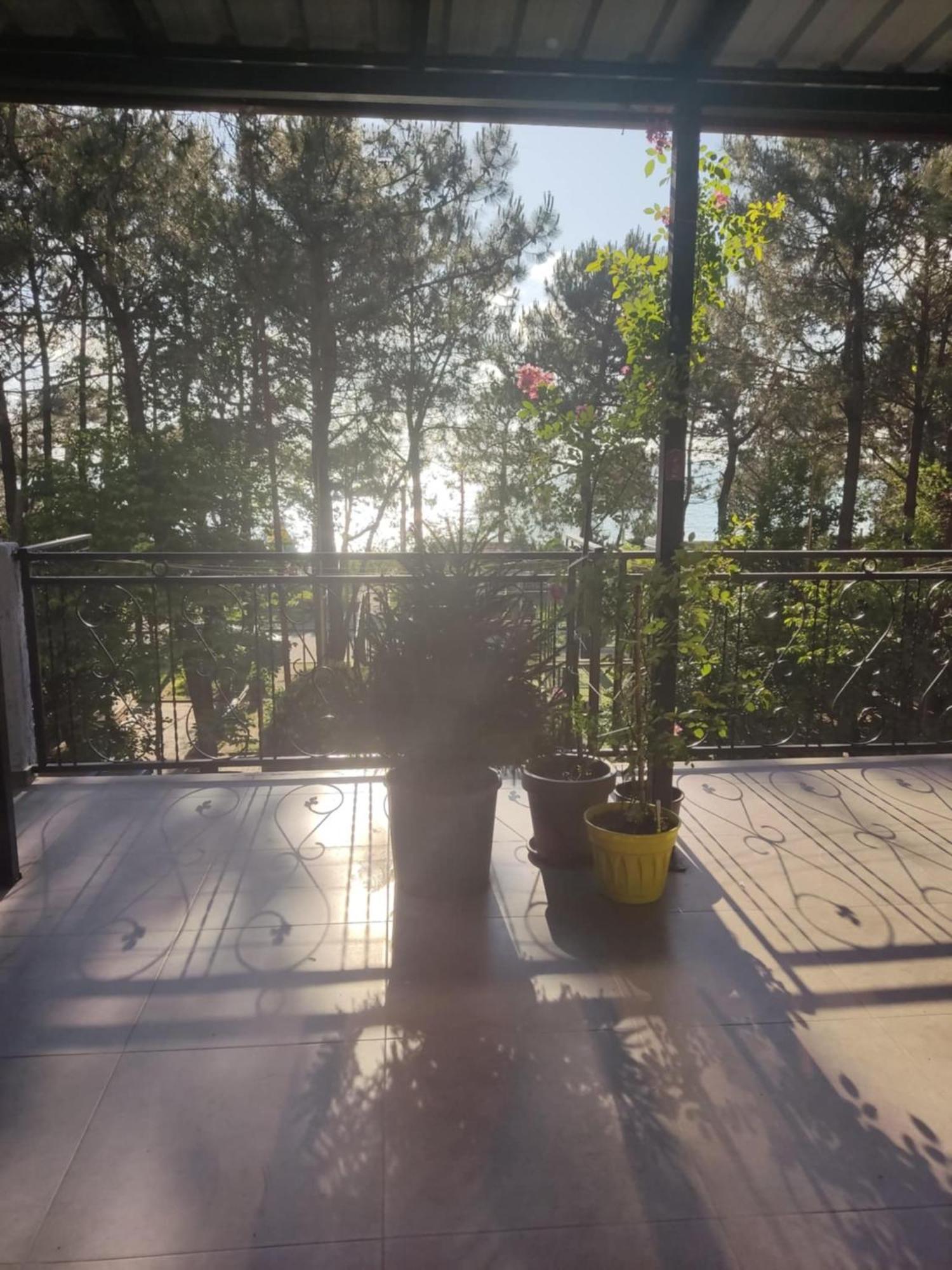Apartment Agmashenebeli 99 Kobuleti Zewnętrze zdjęcie